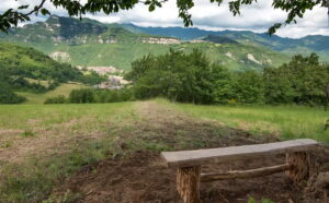 Panchina del ciliegio