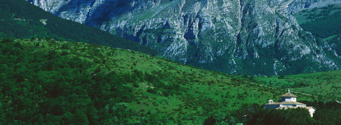 img01 (5)