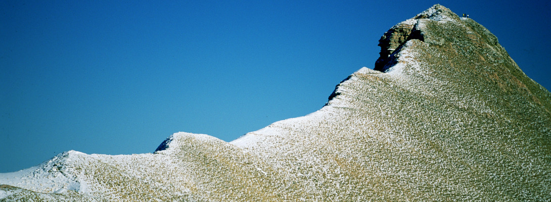 img01 (8)