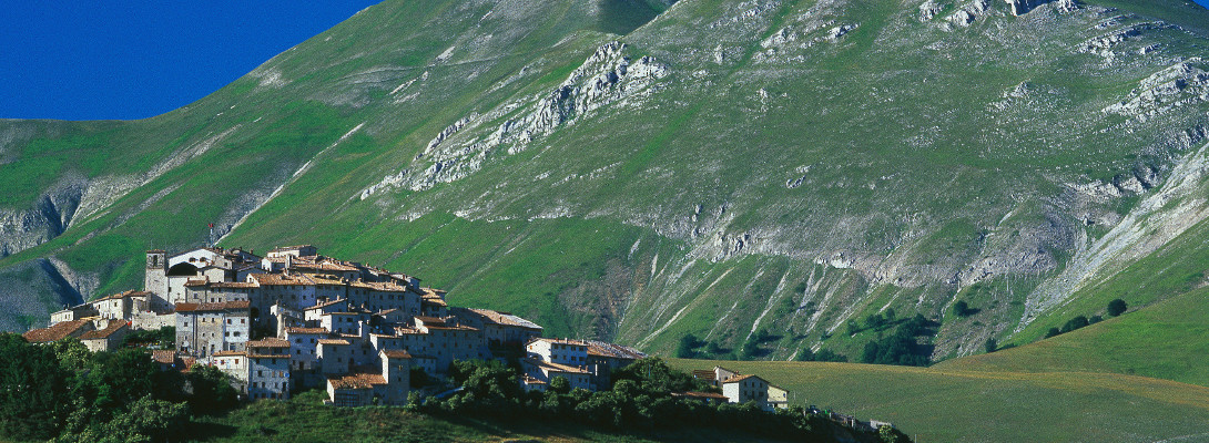 img02 (11)