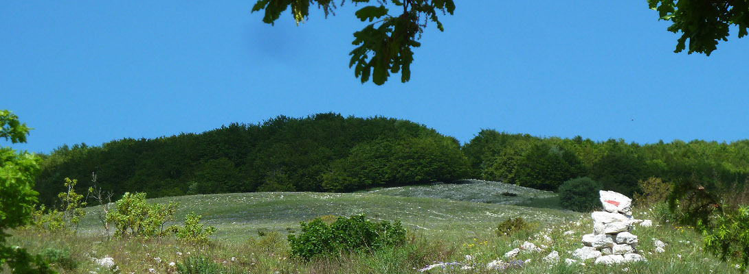img02 (14)