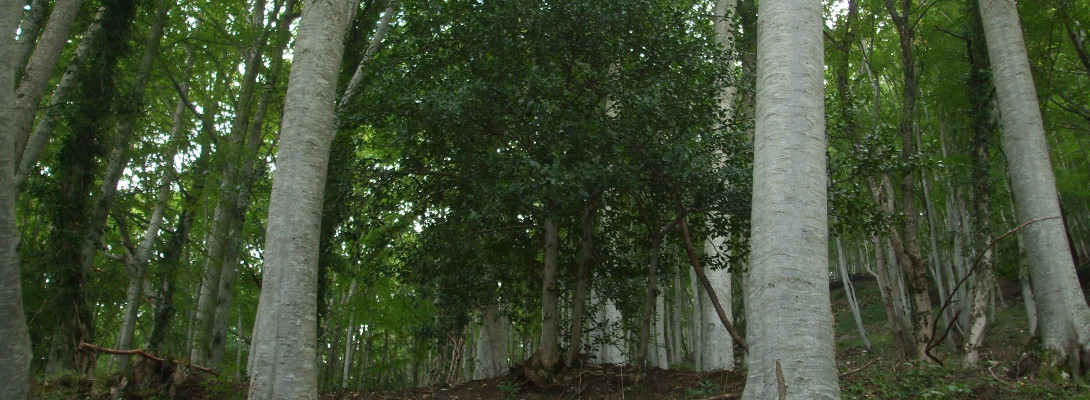 img03 (2)