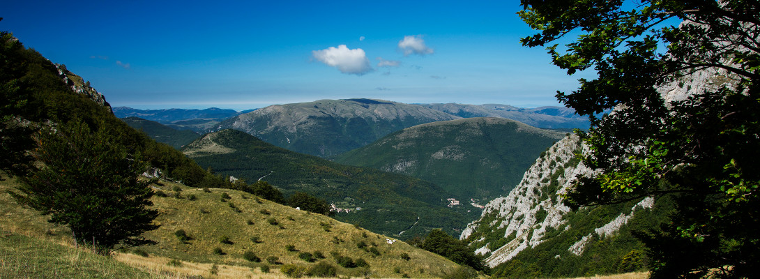 img04 (3)
