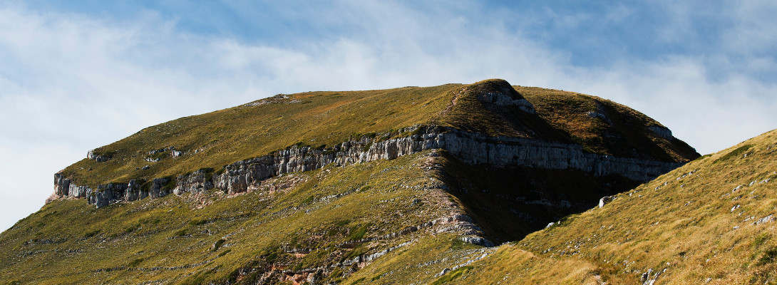 img04 (5)