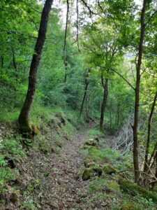 d2
