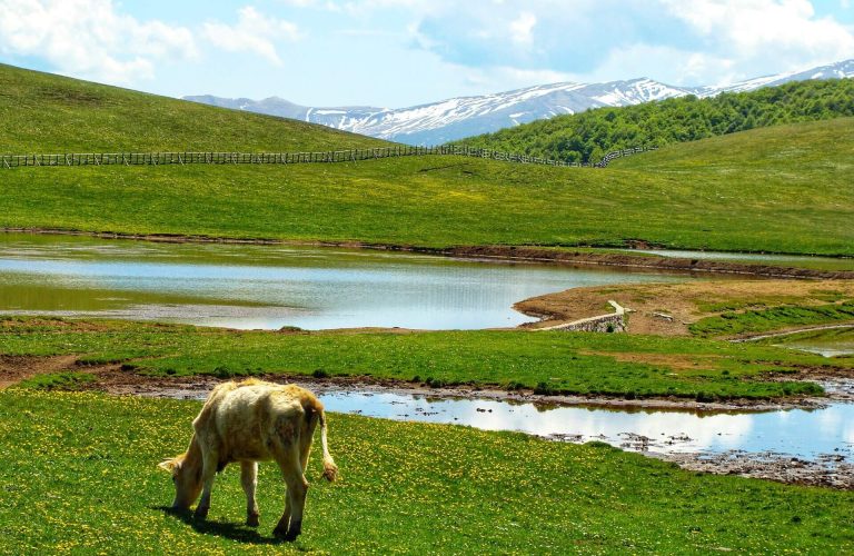 122273244_2878419875719359_7248370092231533274_n