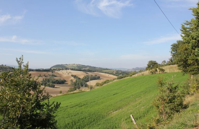 Anello-da-Tribbio-al-Monte-Petrella-sul-sentiero-delle-Carbonaie3