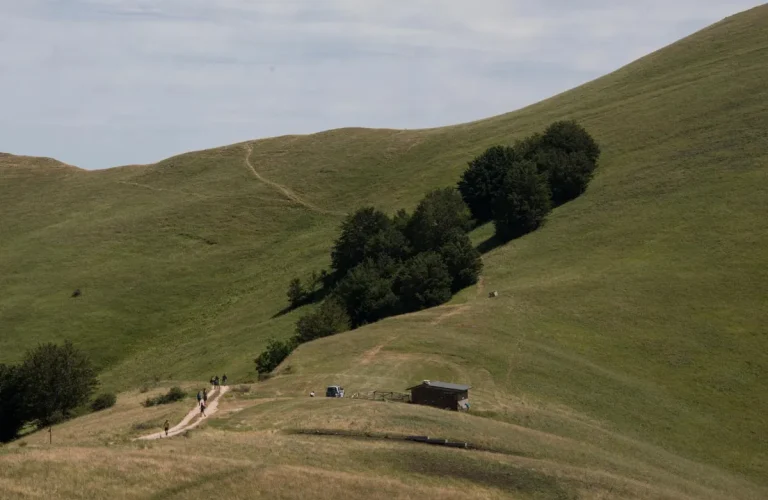 Cammino-Terre-Mutate-Tappa-4-Fiastra-Ussita-prati-montani