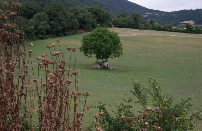 Cammino-Terre-Mutate-Tappa-6-Campi-di-Norcia-Norcia-paesaggi-dei-sibillini