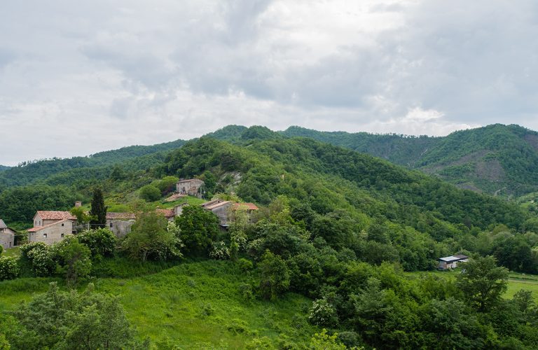 DSC3564