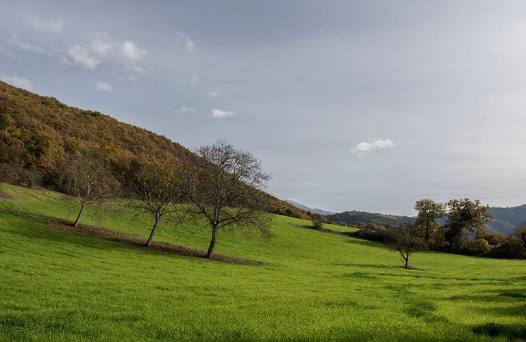 E12-La-Natura-sulla-Porta-di-Casa