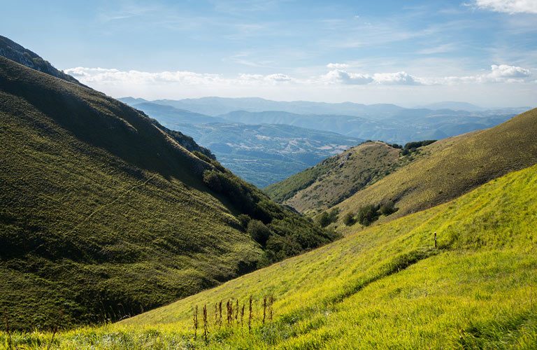 E14-Dall-alta-collina-alla-montagna