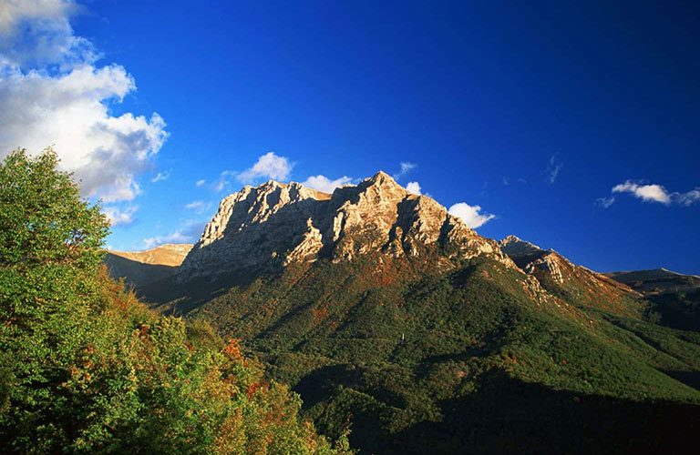 E8-Nel-Regno-del-Camoscio