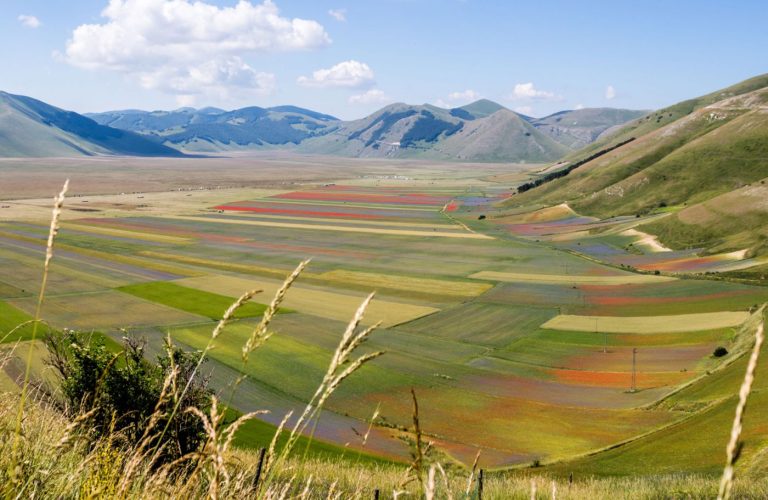 Fioritura-di-Castelluccio-altopiano-colorato-1400x933