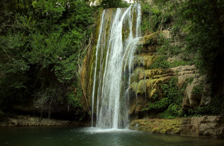 Forcella