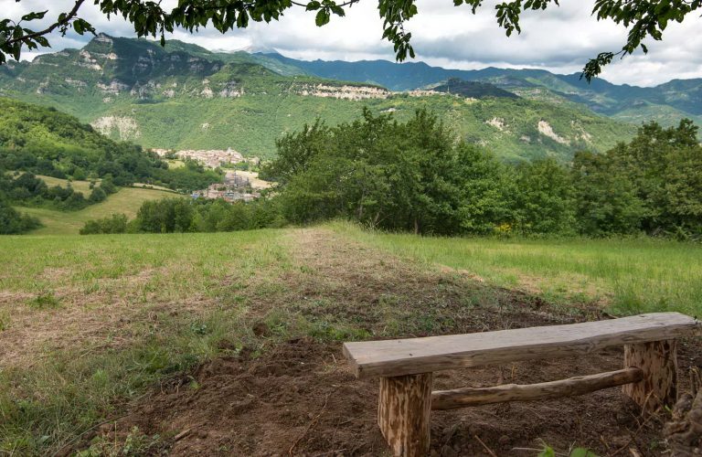 Panchina del ciliegio