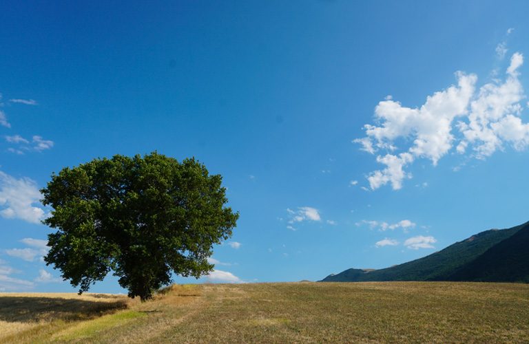 fabriano_matelica