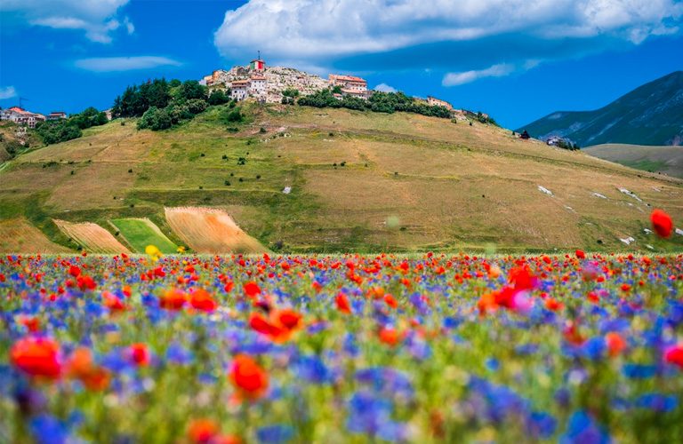 norcia